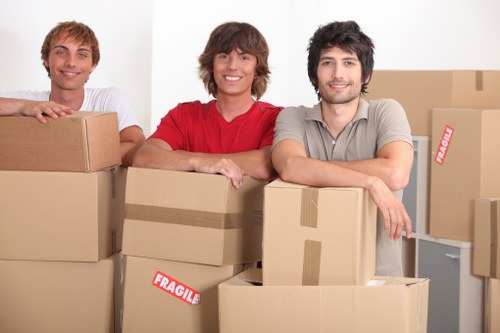 Secure household storage solutions during a move in Stjohns