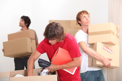 Organized home moving setup for local removals in Stjohns
