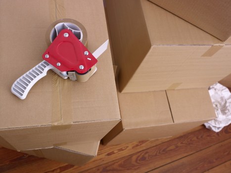 Expert packers protecting fragile items during a Stjohns move