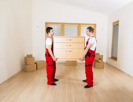 Organized moving and storage facilities serving the Stjohns area